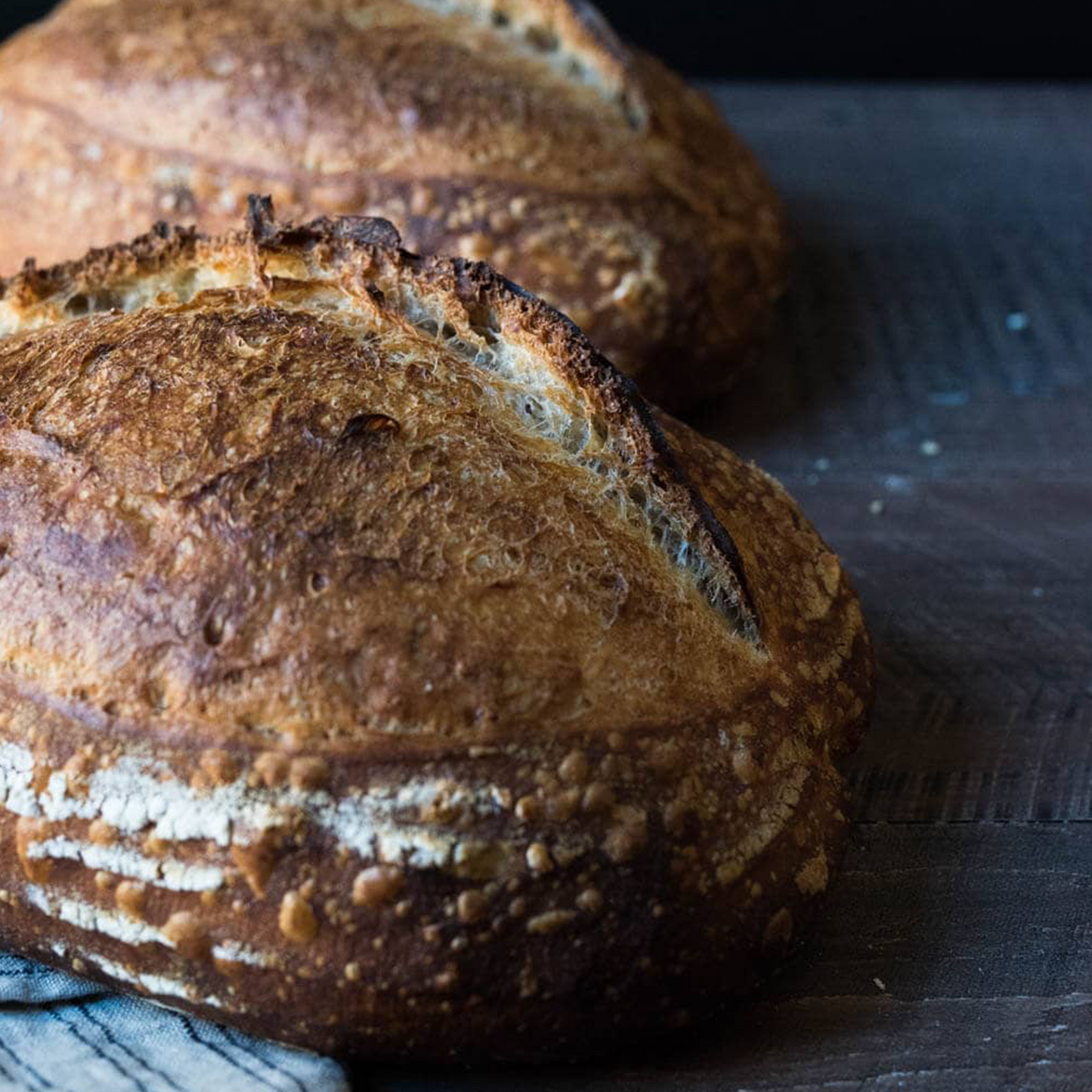 25% Whole Wheat Organic Sourdough Bread